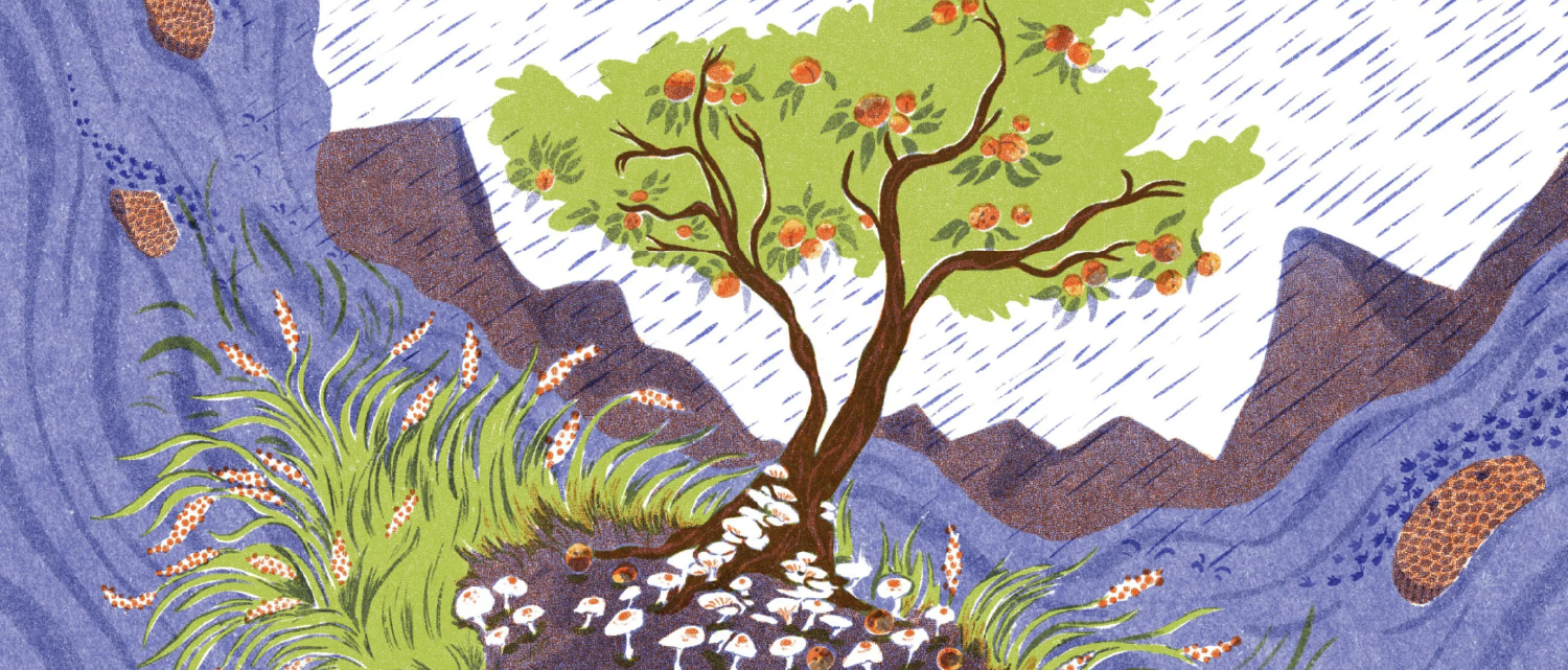 Unseasonal Rains - how mountain food producers navigate weather shifts